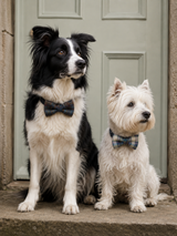 Tweed Bow Tie for Dogs