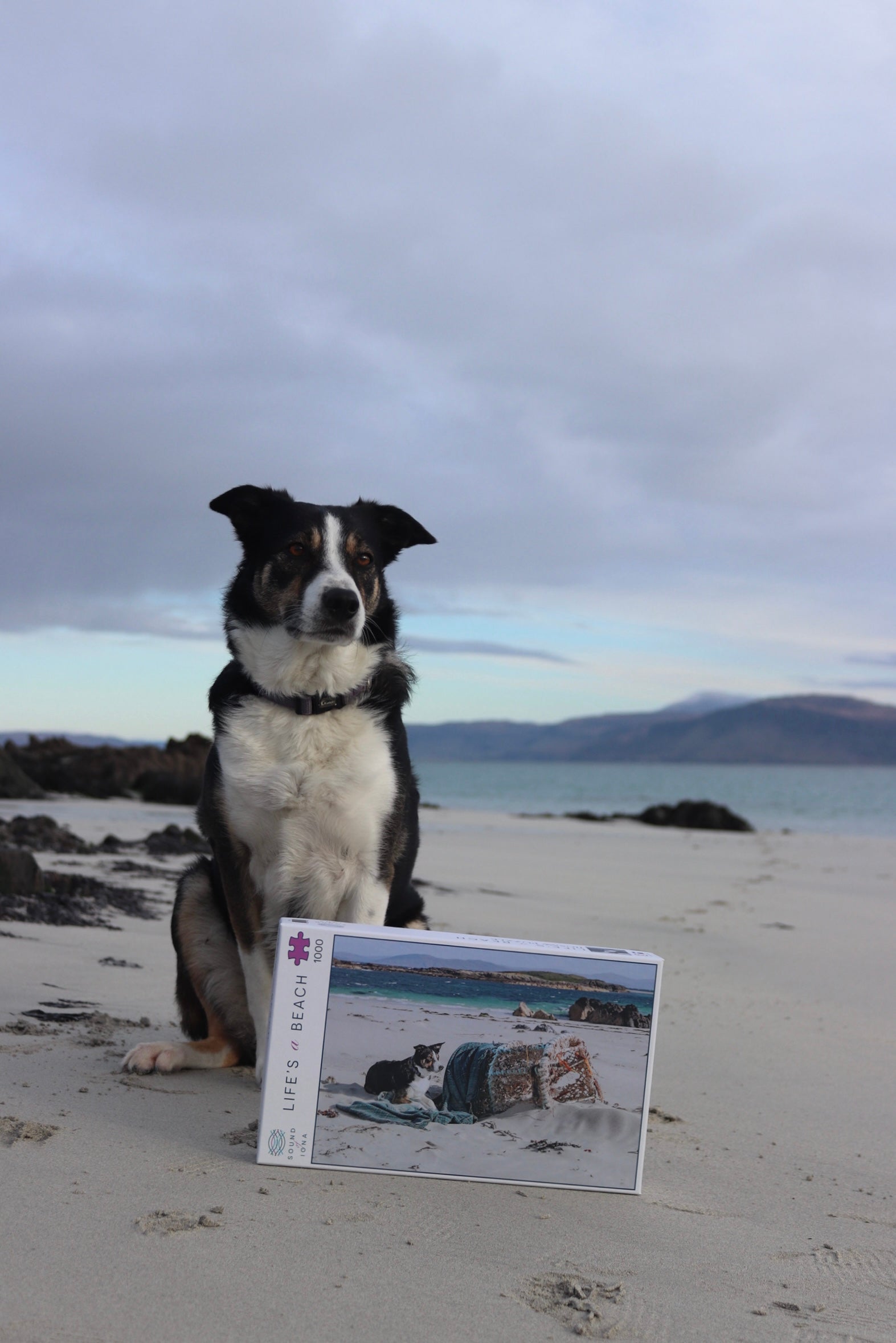 Life's A Beach 1000-Piece Jigsaw