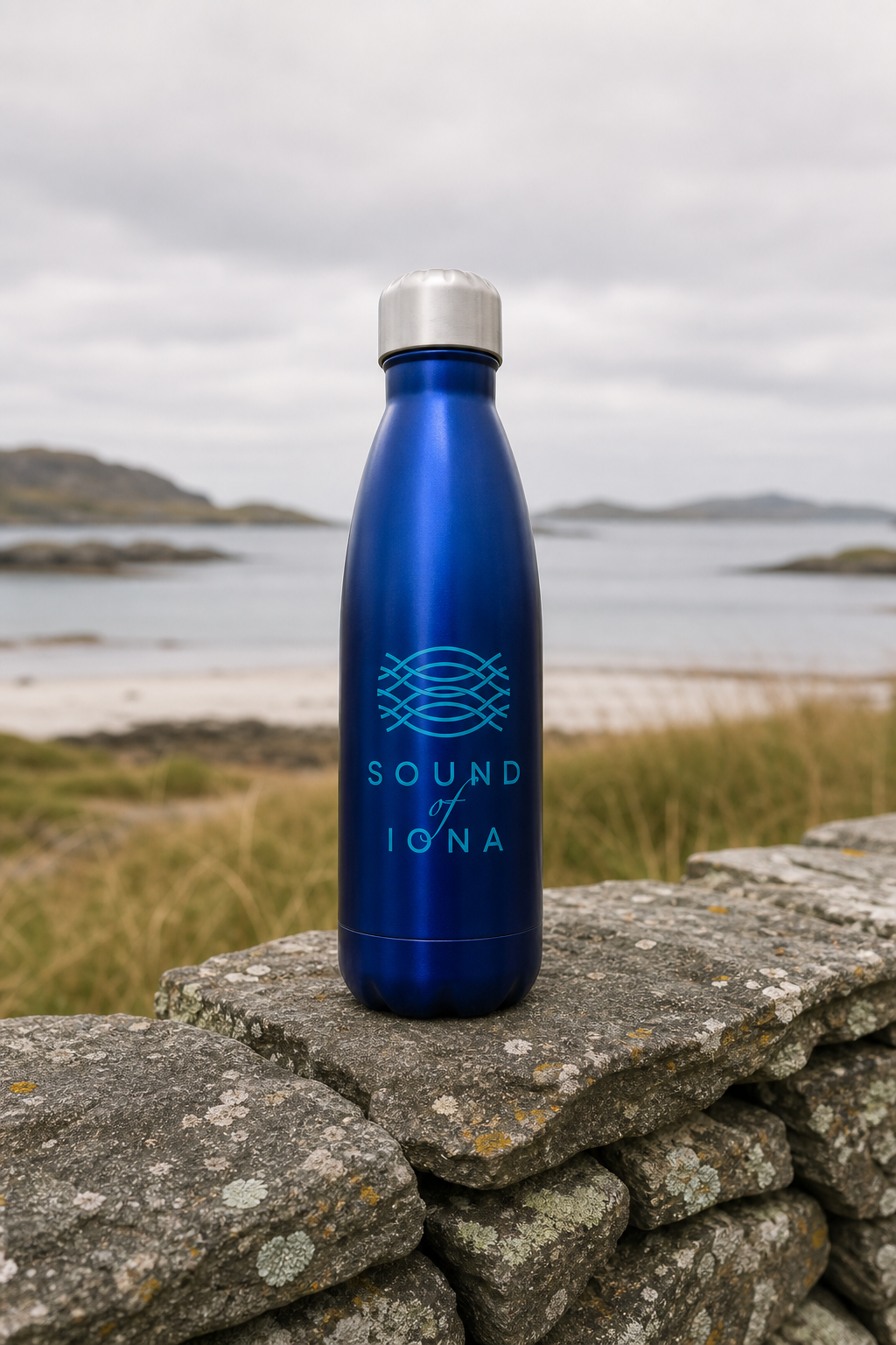 Reusable Stainless Steel Water Bottle