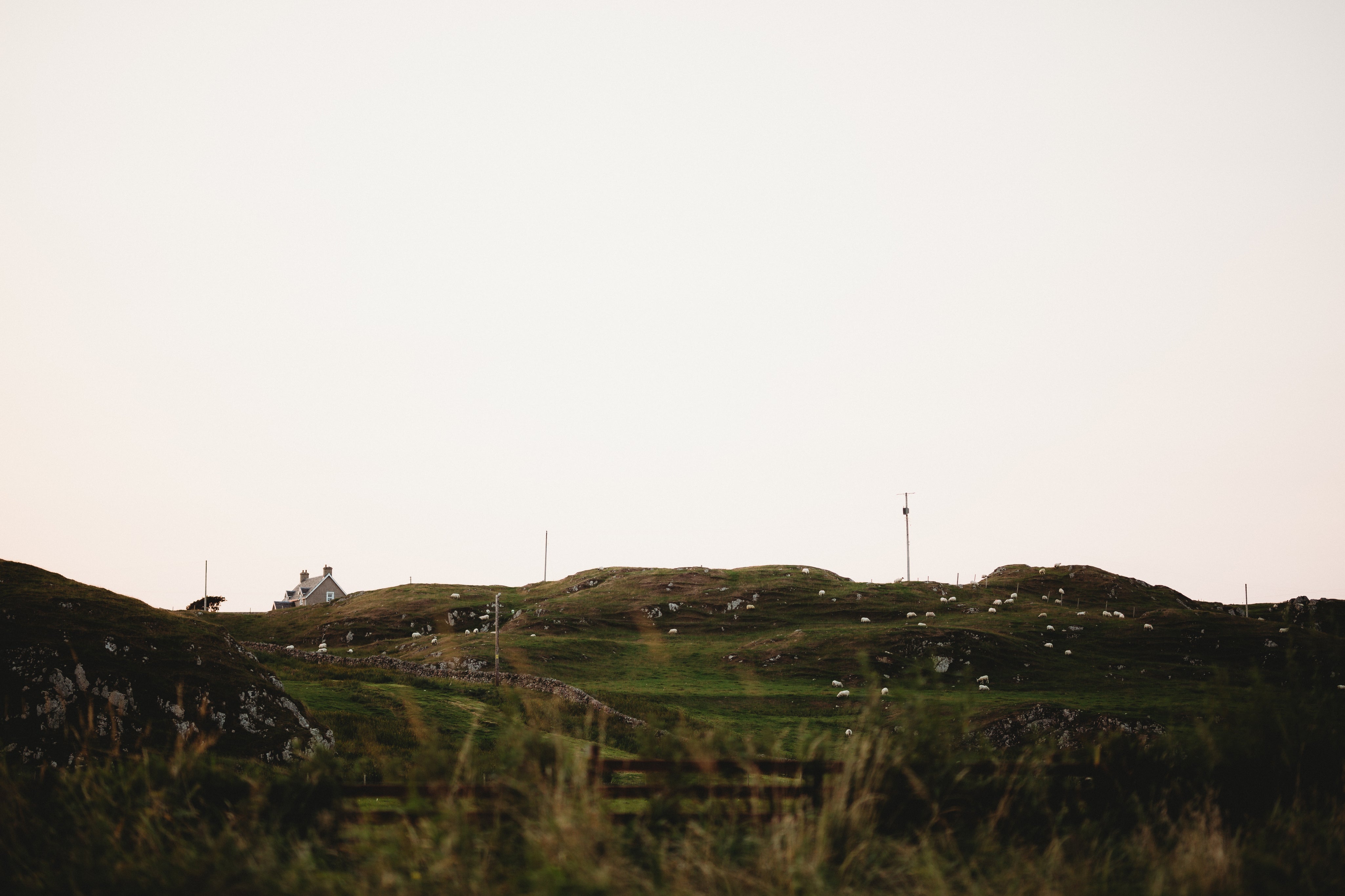 Sound_of_Iona_-_August_2021-436.jpg