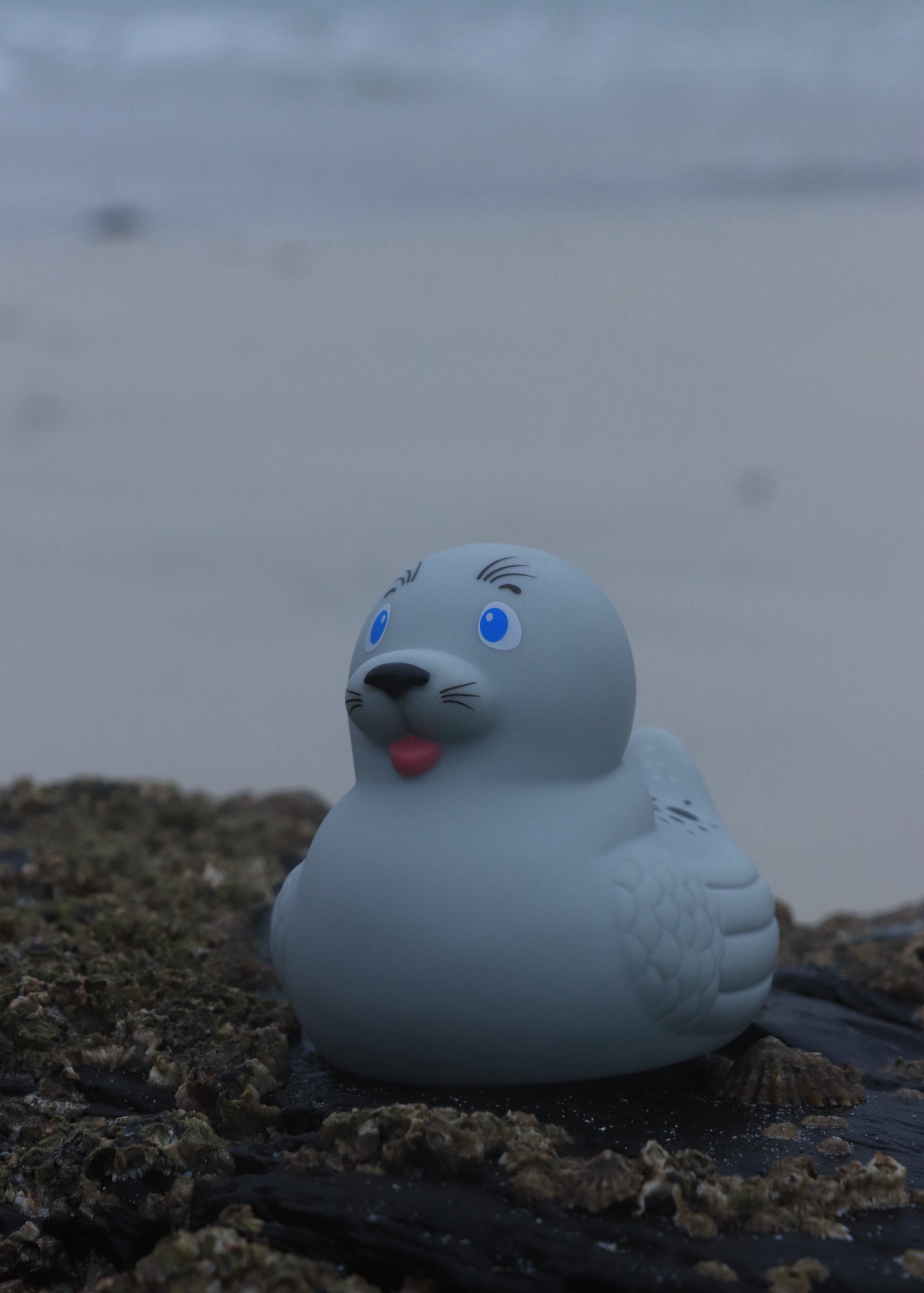 sealrubberduck.jpg